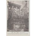 The Fig Tree Watford Hertfordshire Postcard (QHER361)