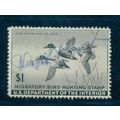 Used RW12 $1 Shoveller Ducks in Flight Almost V...