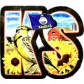 Kansas The Sunflower State Artwood Initial Frid...