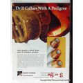 smf international 1977 oil gas drilling marep d...