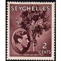 SEYCHELLES, 1938-49 2c George VI, SG 135 (Scott...