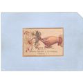 New York Gowanda Victorian Trade Card Peter Rus...