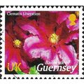 GUERNSEY, FLOWER, Clematis Liberation, pink 200...