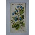 1913 Wills, Alpine Flowers No. 26 Creep Forget-...