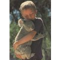 Child With Koala Bear 1980s Rare Postcard