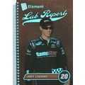 2009 Wheels Element Lab Report Joey Logano #LR1...