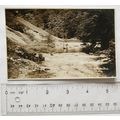 vintage postcard In Monsal Dale, Derbyshire