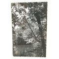 1951 postcard Environs de Montpon, Les bords de...