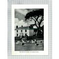 (6617) Ditchling Sussex - 1955 Cutting