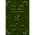 A Busy Time in Mexico: An Unconventional Record...