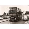 Black & White Photograph of Devon General Ltd. ...