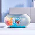 2 Gallon Glass Fish Bowl with Decor, Include Fl...