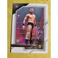 2022 NXT WWE #16 Tiger Turan