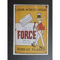 Keighley & Worth Valley Railway Force Flakes at...