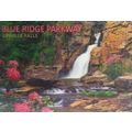 Blue Ridge Parkway Linville Falls with Flowers ...