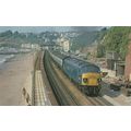 Class 45 No 45021 Train Paignton Raliway Statio...
