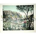 Capri, Panorama, Italy, Book Illustration (Prin...