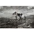MASTERLESS 1870 George Housman Thomas - Horse V...