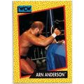 WCW ' ARN ANDERSON ' card # 49 (1991)