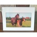 Horses Blank Card #7