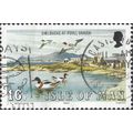 ISLE O MAN, BIRD, Shelduck, Poyll Vaaish, blue ...
