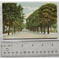 vintage postcard The Promenade Cheltenham