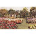 B857 HARROGATE . VALLEY GARDENS . PRINTED POSTCARD