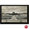 Bedfordshire WOBURN ABBEY Postcard by English L...