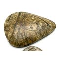 Picture Jasper Freeform Gemstone Cabochon 465