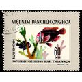 Vietnam 1976 Fish 60xu Used Stamp