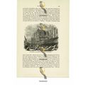 Houses Of Parliament, In Construction, London c...