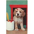 PC18182 Old Postcard. Puppy. Salmon series 5235...