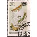 OMAN, BUTTERFLY, Sword Grass Moth, beige 1972, 3b