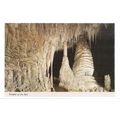 CARLSBAD CAVERNS, caves New Mexico vintage unus...