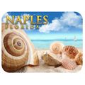 Naples Florida Shells and Ships Fridge Magnet