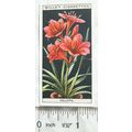 1925 Wills Flower Culture in Pots No. 50 Vallot...