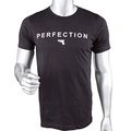 Glock Perfection Short Sleeve T-Shirt 2X-Large ...