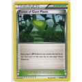 Pokemon Ancient Origins #74/98 Forest of Giant ...