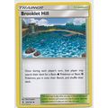 Pokemon Sun & Moon Guardians Rising 120/145 Bro...