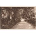 Spencer Road Ryde Isle of Wight Postcard (IOW77...