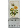 1913 Wills, Alpine Flowers No. 46 Mountain Avens