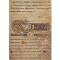 Book Of Kells Folio St Mark Breves Causae 13R P...