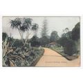 The Botanical Gardens Sydney Postcard Australia