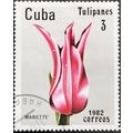 STAMP Cuba SG2801 1982 3c Tulips Mariette Used