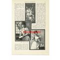 Beauty In Advertising (2), Meat Extract & Tea, ...