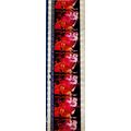 Jimi Hendrex. Pk MTP - C070r . 1 STRIP OF 5 - 3...