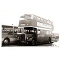 Black & White Photo of Devon General Omn. & Trn...
