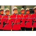 D098835 Royal Canadian Mounted Police. Impact. ...