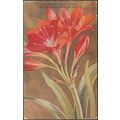 Berg Lily, George Lily, Vallota Purpurea, c.192...