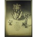 1961 Tiffany Decorative Objects Advertisement -...